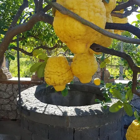 Πανσιόν Antonino