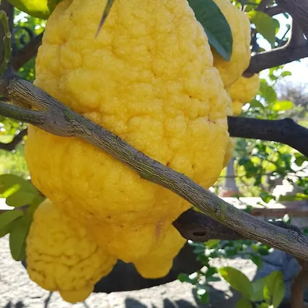 Antonino 게스트하우스