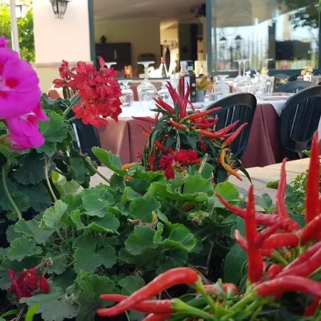 Antonino Πανσιόν Giardini Naxos