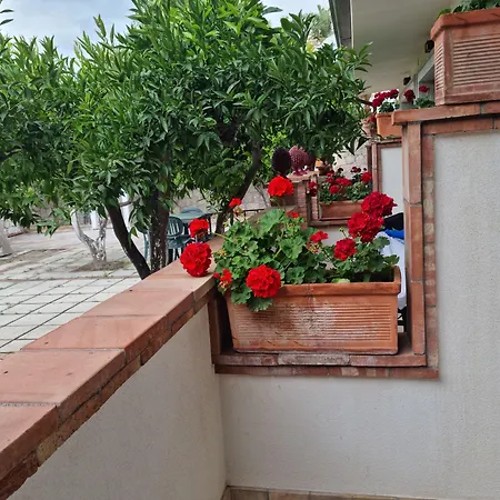 Antonino Πανσιόν Giardini Naxos