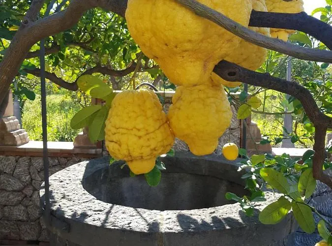 בית הארחה Antonino