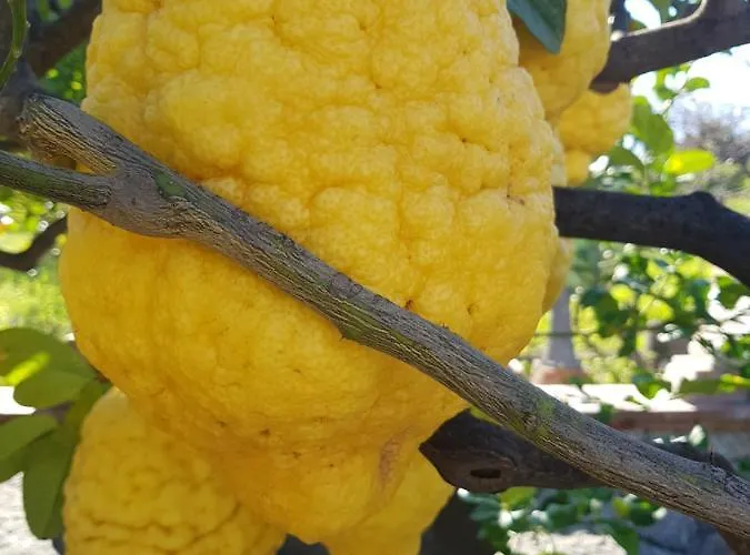 Antonino בית הארחה