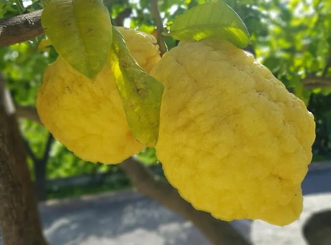 Antonino Guest house 4*